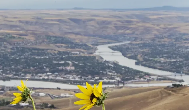 Lewiston and the confluence of the Snake and Clearwater rivers, seen from Lewiston Hill.